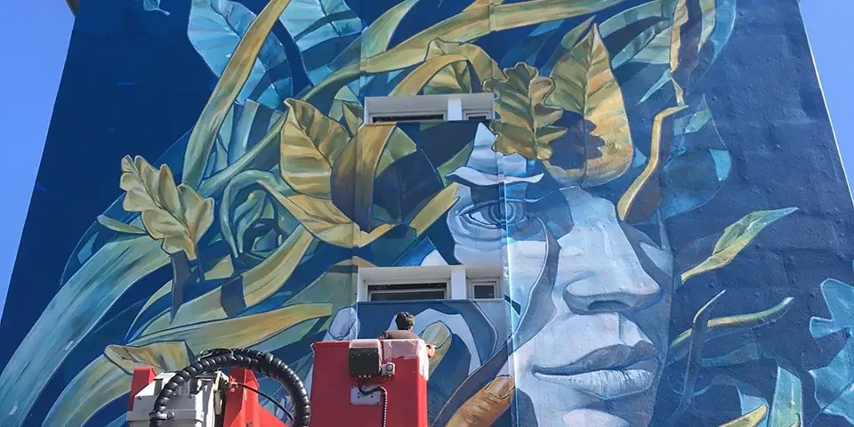 Muralis - Street art à Saint-Paul-lès-Dax