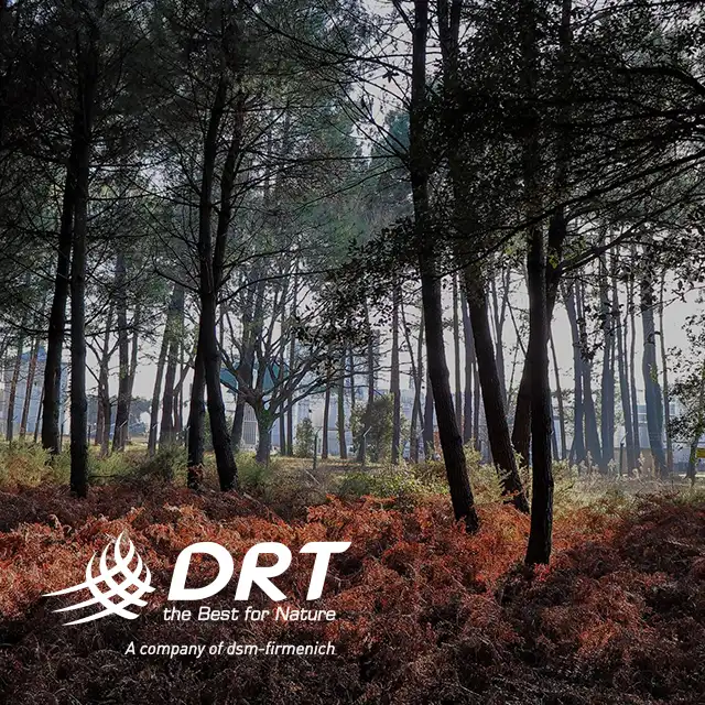 DRT the Best for Nature